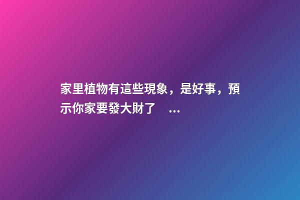 家里植物有這些現象，是好事，預示你家要發大財了！